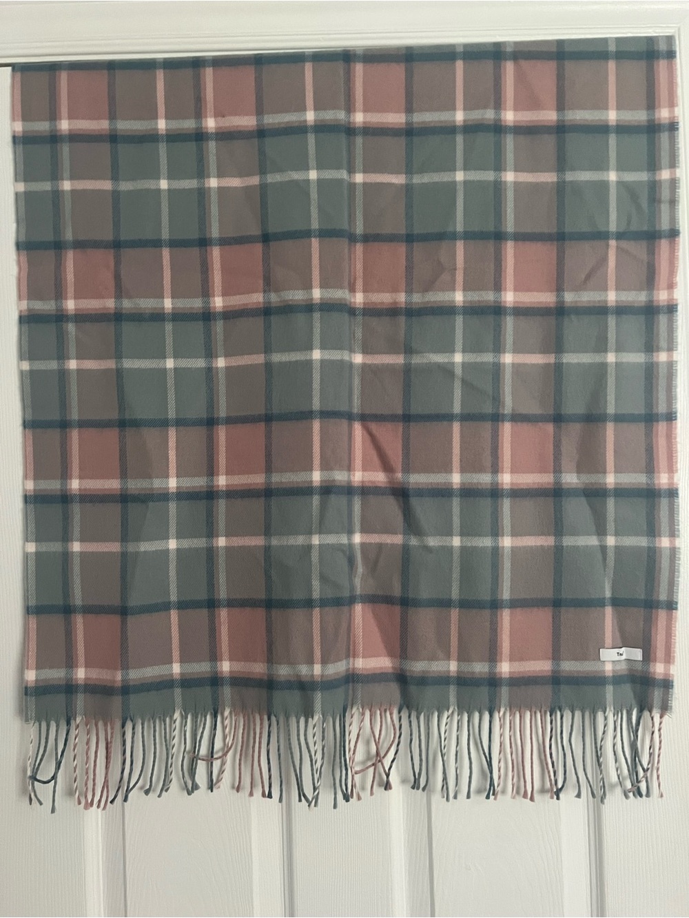 Aritzia TNA pink and blue Plaid Fringe Scarf - Picture 5 of 6